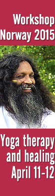 Swami Santhiprasad in Norway April 2015 | School of Santhi Yoga School in India