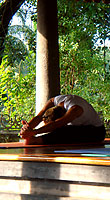 Yoga Teacher Training TTC 200 with Swami Santhiprasad at School of Santhi Yoga Teacher Training School in Kerala South India